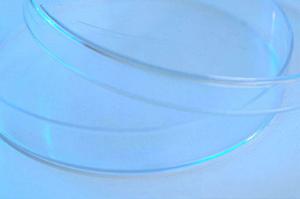 歯の治療をすることの新発田で大切な意味