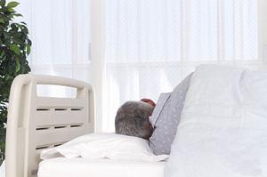 港南区で選ばれる歯医者の秘密｜家族みんなが安心して通える歯科医院のポイント