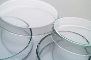 AGA治療ができる港北区の皮膚科