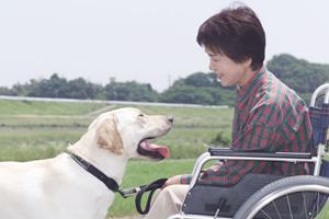 出雲市で評判の消化器内科を徹底解説！最新2026年版の医療情報と選び方ガイド