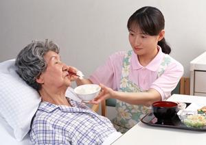 歯の治療でインプラントの保障の便利さ