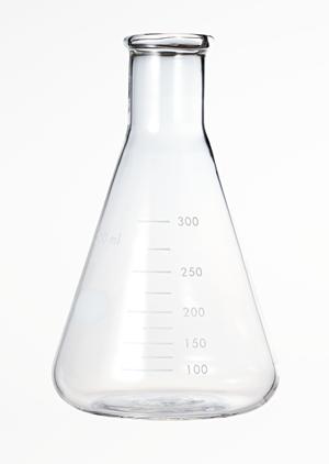 妊娠したら、産婦人科へ