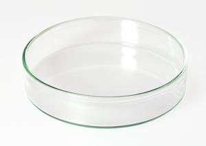 白金台で家族が安心して通える歯医者を選ぶための完全ガイド