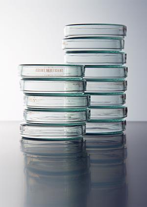 品川区のメンタルクリニック徹底ガイド：あなたに最適なサポートを見つける方法