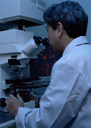 札幌市内でよい歯医者を見つけるポイント