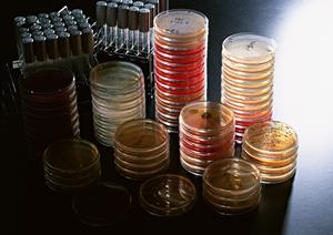 青葉区で安心・安全なインプラント治療を受けるならここ！高品質な医療サービスを提供する専門医院をご紹介します！