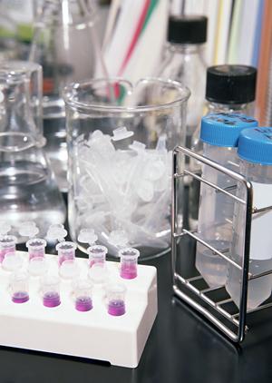 歯の矯正でりトータルコストを下げていく